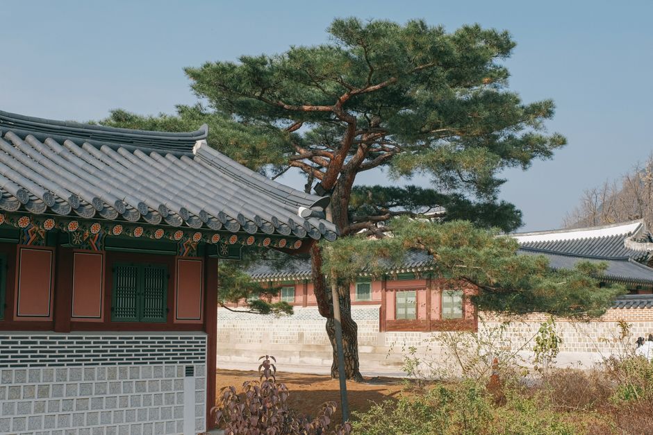2026년 부동산 시장 전망과 투자 전략: 선거 변수 파헤치기 이미지