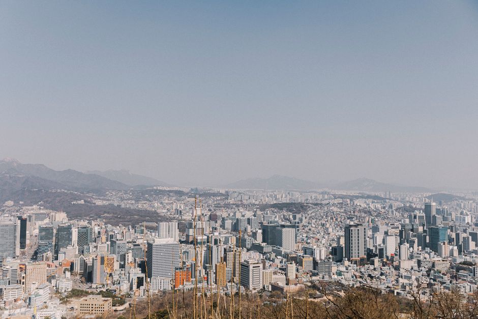 암 치료의 미래: 면역항암제와 AI 기술의 결합으로 치매도 예방? 이미지