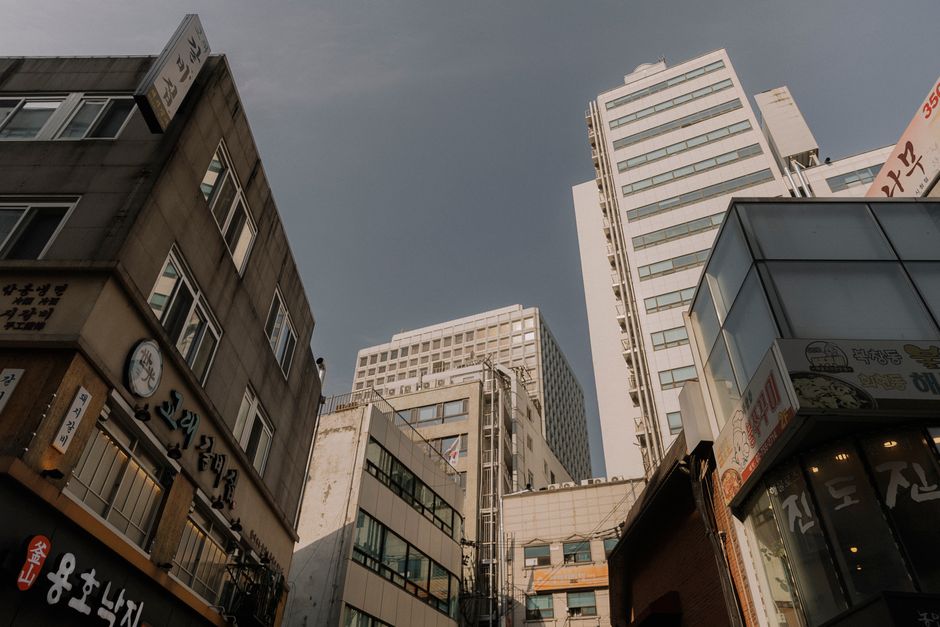 50대 다이어트 성공 비결과 건강 유지 팁 — 식단 관리부터 운동까지 이미지
